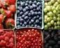 Какие можно фрукты при панкреатите: список разрешенных и запрещенных фруктов